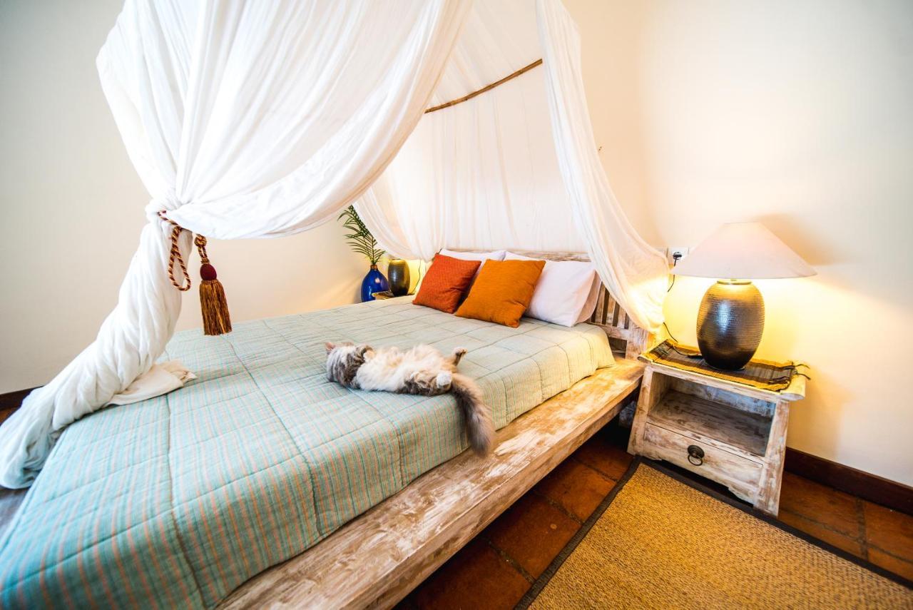 Villa Elang Canggu Екстериор снимка